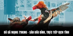 Đá Gà Mạng 79king – Sàn Đấu Đỉnh, Trực Tiếp Kịch Tính